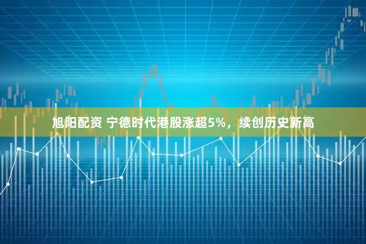 旭阳配资 宁德时代港股涨超5%，续创历史新高