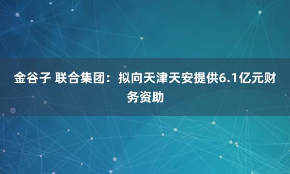 金谷子 联合集团：拟向天津天安提供6.1亿元财务资助